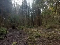 Prodej lesa, Načeradec, 1859 m2