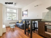 Pronájem bytu 1+1, Praha - Břevnov, U kaštanu, 43 m2