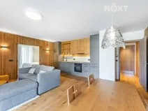 Prodej bytu 2+kk, Vítkovice, 57 m2