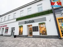Pronájem skladu, Pardubice - Zelené Předměstí, 17. listopadu, 35 m2