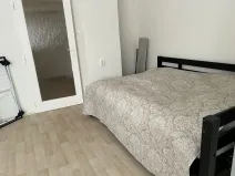 Prodej bytu 1+1, Praha - Nusle, Na bitevní pláni, 36 m2