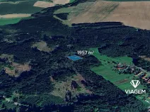 Prodej podílu lesa, Vyklantice, 1467 m2