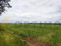 Prodej podílu pole, Tursko, 24693 m2