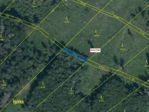Dražba lesa, Kladruby, 132 m2