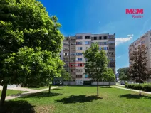 Prodej bytu 1+1, Písek - Pražské Předměstí, Jablonského, 41 m2