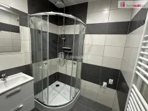 Pronájem bytu 3+kk, Město Touškov, Čemínská, 55 m2