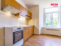 Pronájem bytu 1+kk, Vlčice, 41 m2