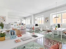 Prodej obchodního prostoru, Třebíč, Bedřicha Václavka, 250 m2