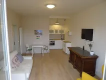 Pronájem bytu 1+kk, Praha - Dejvice, Wuchterlova, 36 m2