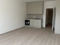 Pronájem bytu 1+kk, Praha - Vysočany, Gerstelova, 48 m2