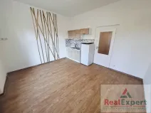 Pronájem bytu 1+kk, Praha - Žižkov, Jeseniova, 25 m2