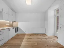 Pronájem bytu 2+kk, Praha - Nusle, Sezimova, 50 m2