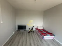 Prodej bytu 1+1, Bílina, Sídliště Za Chlumem, 36 m2