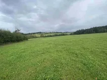 Dražba pozemku pro bydlení, Černá v Pošumaví, 4978 m2