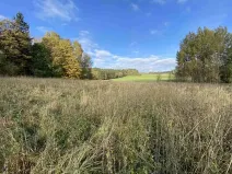 Dražba pozemku pro bydlení, Králíky, 3207 m2