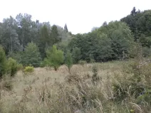 Prodej pole, Traplice, 1953 m2