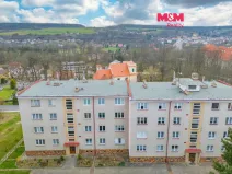 Pronájem bytu 2+1, Plasy, Stará cesta, 55 m2