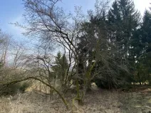 Prodej pozemku, Městečko Trnávka - Lázy, 384 m2