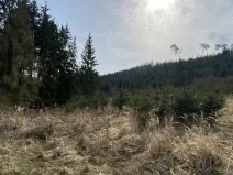 Prodej louky, Městečko Trnávka - Lázy, 1026 m2