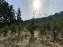 Prodej louky, Městečko Trnávka - Lázy, 1026 m2