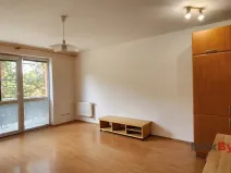 Pronájem bytu 1+kk, Liberec, Hanychovská, 47 m2