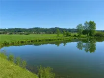 Prodej zahrady, Vilice, 1008 m2