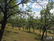 Prodej zahrady, Prakšice, 2596 m2