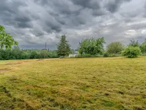 Prodej pozemku, Plesná, 894 m2