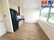 Pronájem bytu 1+kk, Mladá Boleslav, Vodárenská, 23 m2