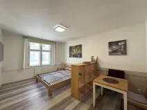 Pronájem bytu 1+kk, Praha - Vršovice, Sevastopolská, 30 m2