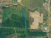 Prodej podílu pole, Osvětimany, 5992 m2