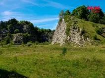 Prodej zahrady, Štramberk, 89052 m2