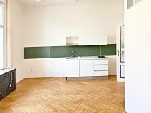 Pronájem bytu 6+kk a větší, Brno, Křížová, 235 m2