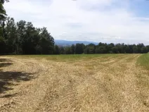 Dražba louky, Dříteň, 7234 m2