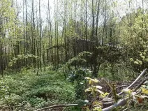 Prodej pozemku pro bydlení, Liberec, 1772 m2