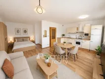 Pronájem bytu 1+kk, Brno, Podveská, 37 m2