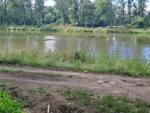 Pronájem zahrady, Tišice, 1000 m2