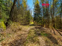 Prodej chalupy, Tanvald - Šumburk nad Desnou, 118 m2