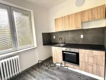 Prodej bytu 1+kk, Ostrava, Krakovská, 22 m2