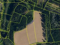 Prodej lesa, Útěchovičky, 360 m2