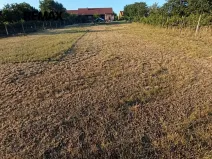 Pronájem sadu/vinice, Bořetice, 1092 m2