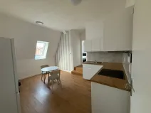 Pronájem bytu 1+kk, Ústí nad Labem, 20 m2
