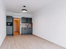 Pronájem apartmánu, Brno, Čechyňská, 40 m2