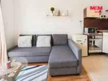 Pronájem bytu 1+kk, Brno - Slatina, Zlínská, 29 m2
