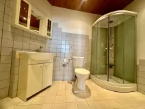 Pronájem bytu 1+1, Praha, 55 m2