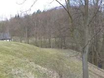 Prodej pole, Heřmanov - Fojtovice, 4633 m2