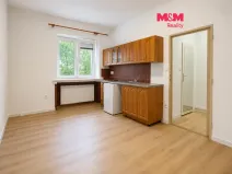Pronájem bytu 1+kk, Olomouc - Hodolany, Zeyerova, 23 m2