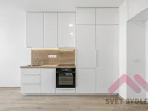 Pronájem bytu 1+kk, Praha - Žižkov, Biskupcova, 25 m2
