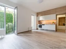 Pronájem bytu 1+kk, Brno - Zábrdovice, Francouzská, 30 m2