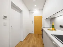 Prodej bytu 1+1, Praha - Nusle, Dačického, 31 m2